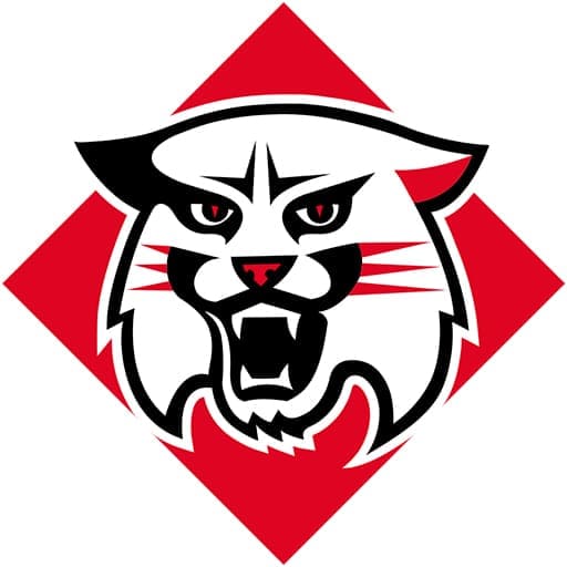 Davidson Wildcats Basketball Tickets in St. Louis