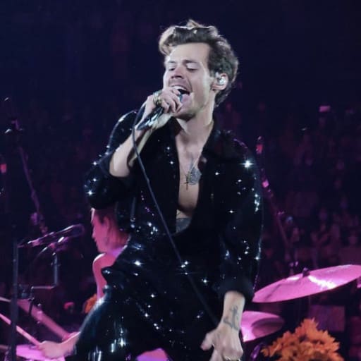 Harry Styles Night concerts in St. Louis.