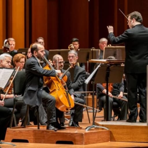 Haydn Concerts in St. Louis