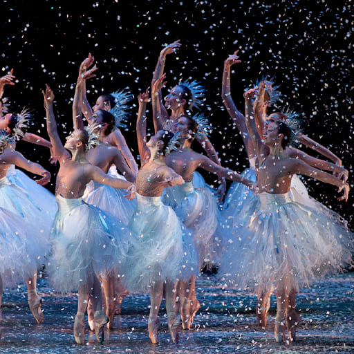 Phoenix Symphony Concerts in St. Louis