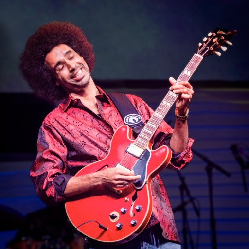 Selwyn Birchwood Concerts in St. Louis